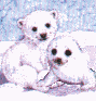 Polar Cub Bear and Baby Seal hugging in friendship.
