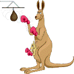 Kangaroos love living in Australia!