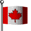 Canada's flag is flying high.