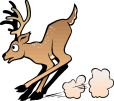 Reindeer may not fly here but they run and jump into the woods.