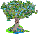 Great Mann Elder Tree