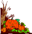 Pumpkin Corner