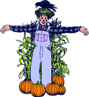 Scarecrow with Crow