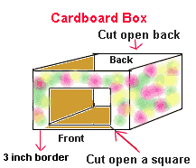 Cardboard box stage