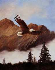 Eagle Soaring by Mary Caroselli